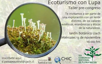 ¡🌱Ecoturismo con Lupa🔍!